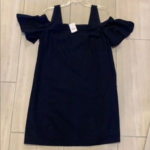 NWT J Crew Dress